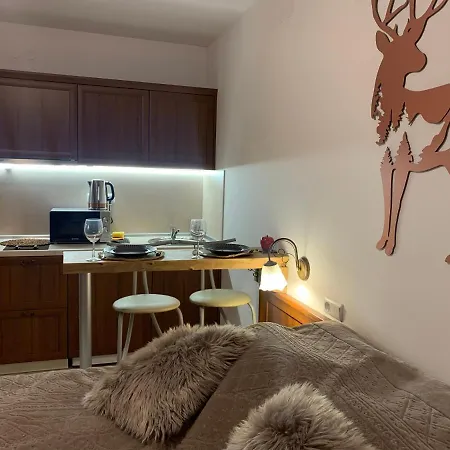 To Door De Luxe Apartment Bansko