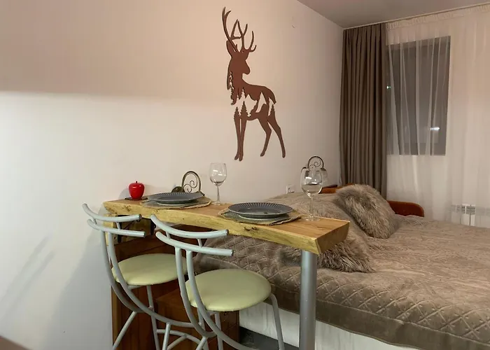 To Door De Luxe Apartment Bansko