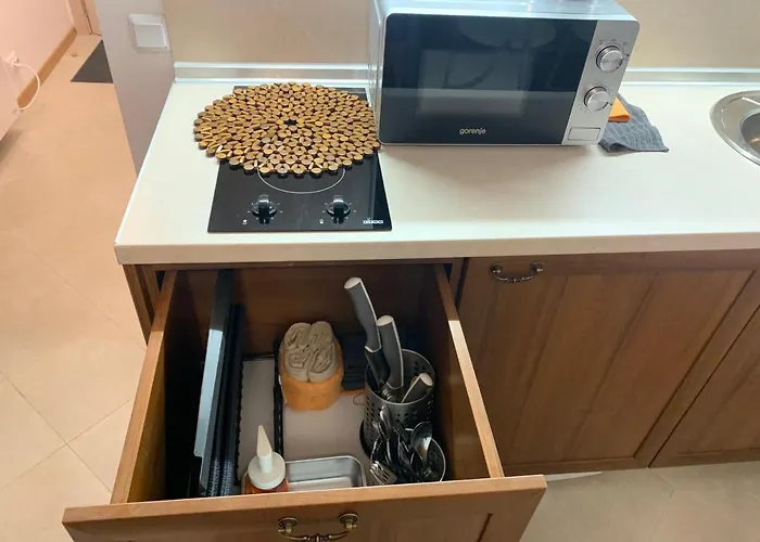 公寓 To Door De Luxe 班斯科